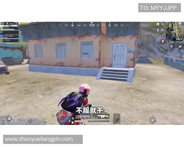 专访和平精英制作人杨磊深度剖析游戏成功背后的秘密与策略