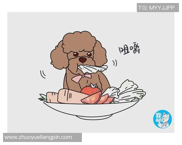 周丽独家分享篮球心得与技巧助你提升球技的全面指南