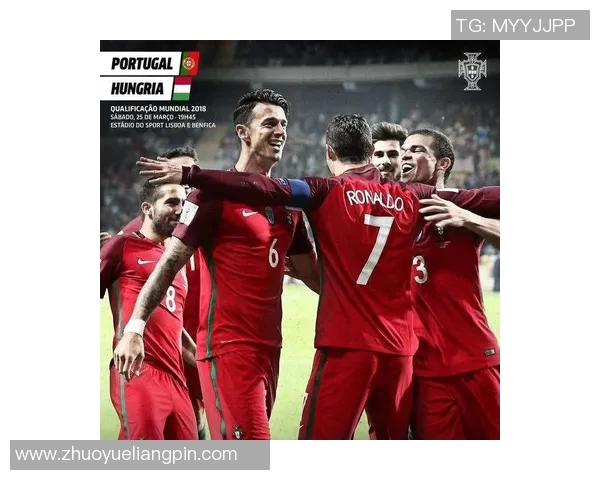 西安排球队在联合会杯中的拼搏历程与荣耀时刻回顾