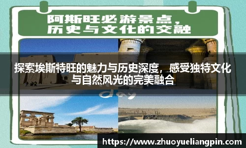 九游官方正版入口
